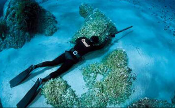 Pesca subacquea in apnea: tutto quello che ti serve sapere per iniziare pesca subacquea in apnea