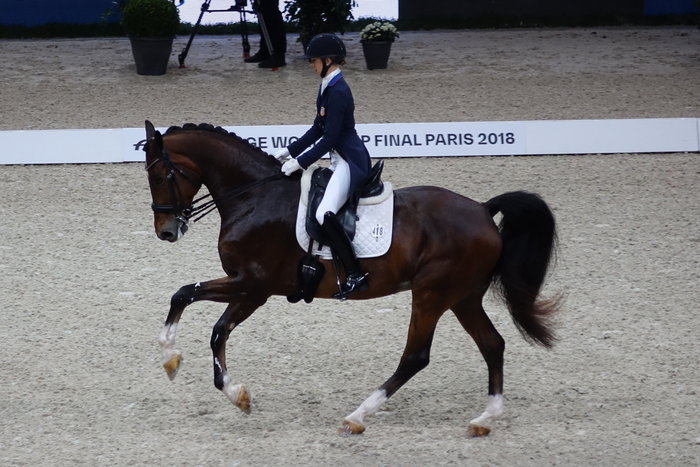 equitazione: gara di dressage