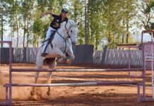 equitazione: il salto ad ostacoli