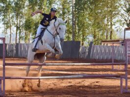 Le discipline dell’equitazione: gli sport equestri olimpici equitazione: il salto ad ostacoli