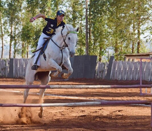 equitazione: il salto ad ostacoli