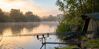 strategie di carpfishing